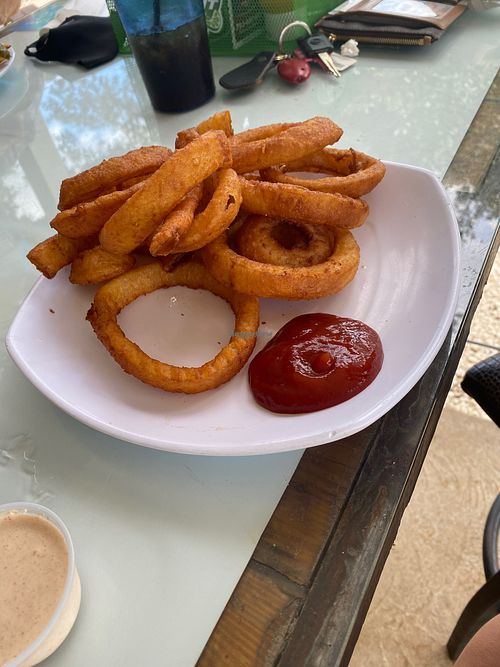 Onion rings at Gill Dawg Tiki Bar and Grill in Port Richey
