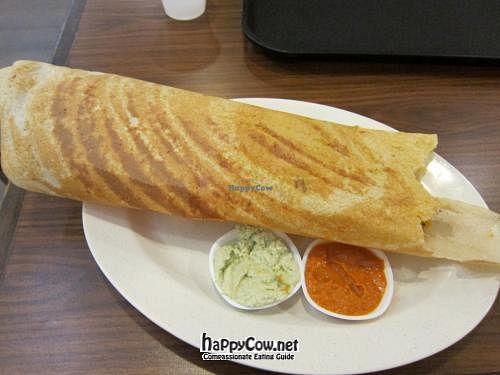 Masala dosa at SIN - Kaveri Vegetarian - T2 in East Singapore
