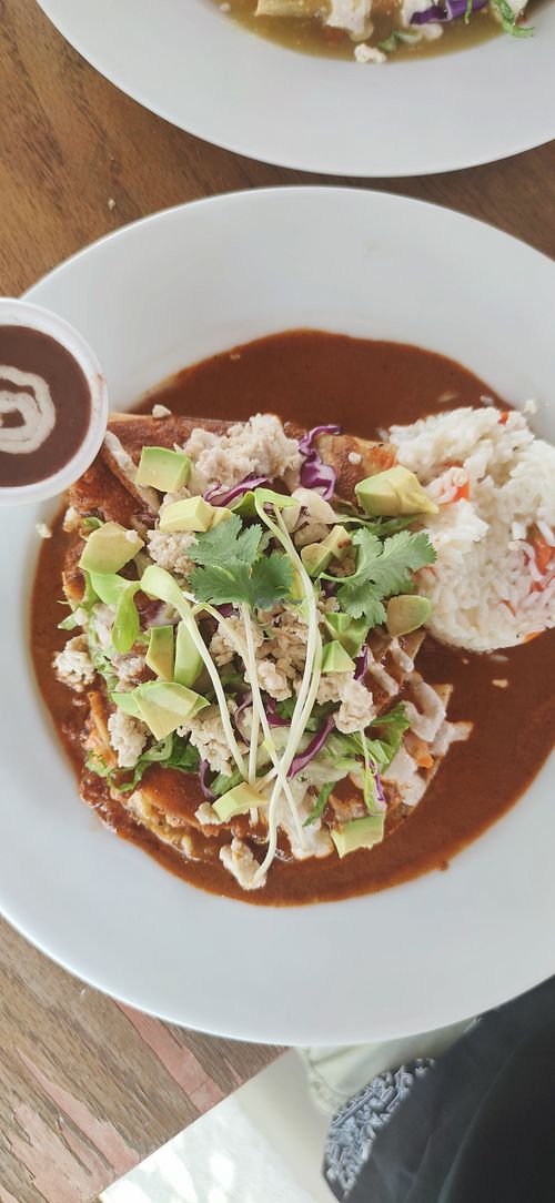 Enmoladas at Plantivoros in Playa Del Carmen