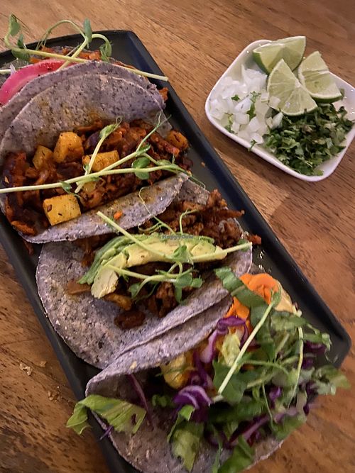 Tacos at Plantivoros in Playa Del Carmen