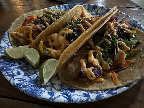 Phish tacos! Yum!  at HASH - Vegan Eats SA in San Antonio