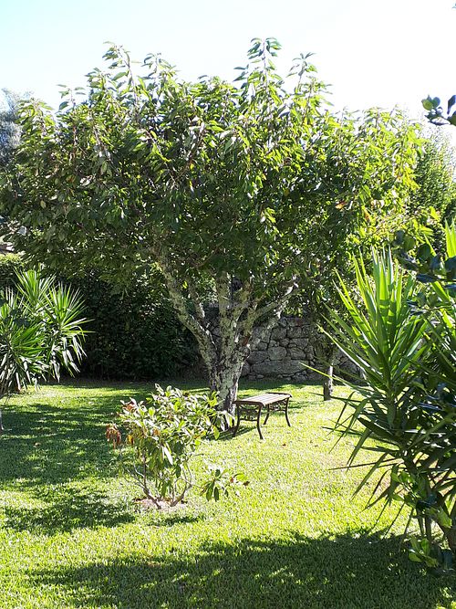 Peacefull at Garden Cottage in Povoa De Lanhoso