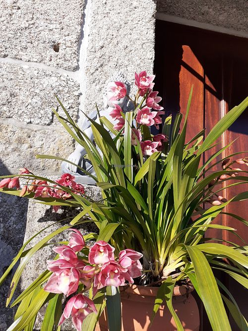 Boudha meditation room at Garden Cottage in Povoa De Lanhoso
