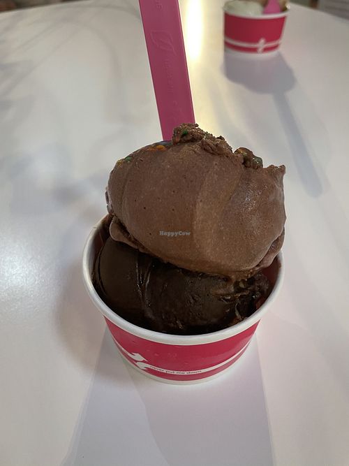 Venice Avenue Creamery Venice Florida Ice Cream HappyCow