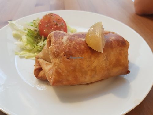 Vegan chimichanga at Taco Mexican in Berwick Upon Tweed