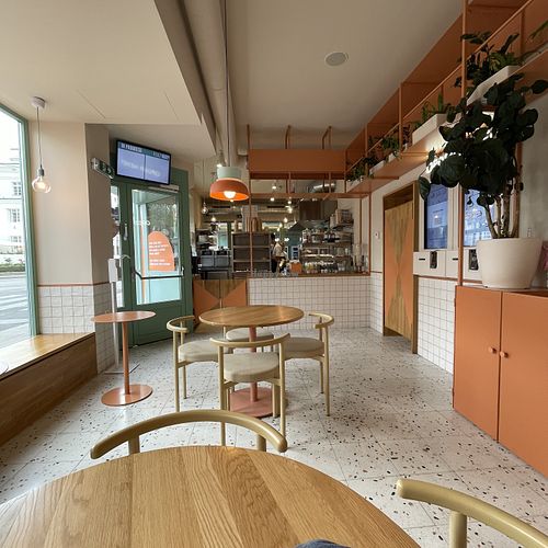 Indoors   at Tolstoy in Vienna