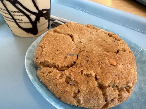 cookie  at Tolstoy in Vienna