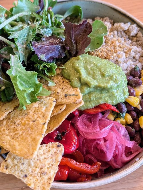 The Mexican bowl- quinoa was overcooked at Tolstoy in Vienna