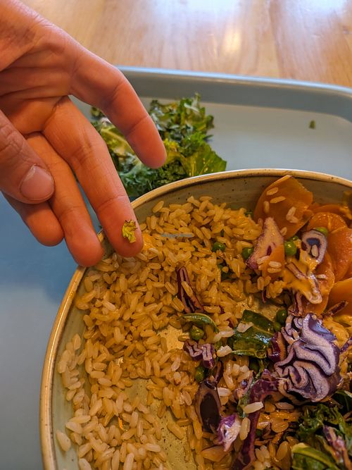 Terrible quality, to be honest, the kale was disgusting, the red cabbage dry and bitter and they wouldn't change the meal. Don't go here! at Tolstoy in Vienna