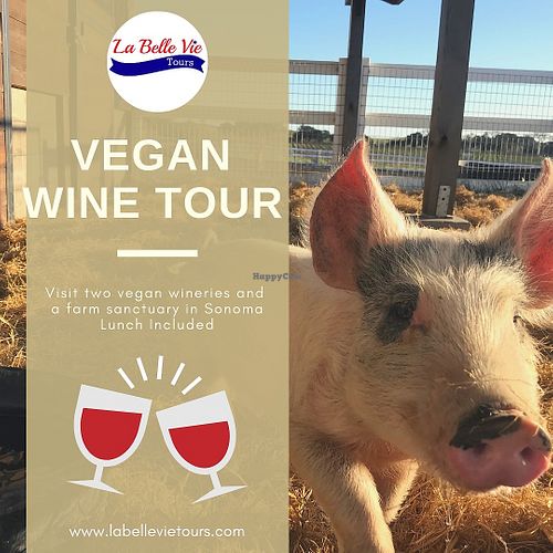 Please join us on our Farm Sanctuary and Vegan Wine Tour in Sonoma Valley.  at La Belle Vie Tours in Sonoma