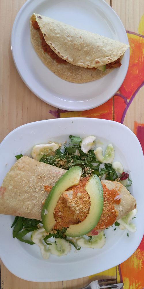 Taco and burrito at Vegan21 in San Miguel De Allende