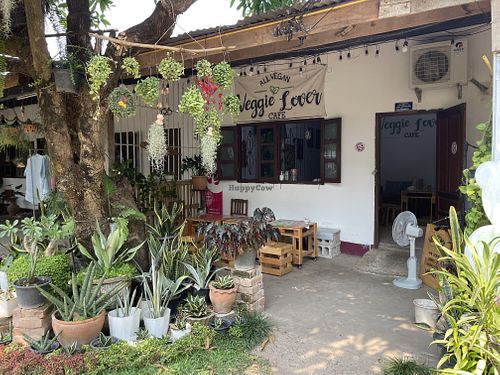   at Veggie Lover Cafe in Vientiane