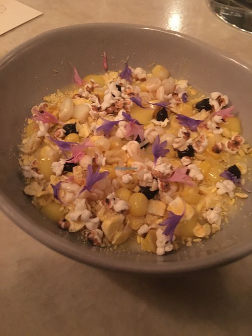 Panacotta with truffles and sorghum popped. Omg I loved this at Brass Heart in Chicago