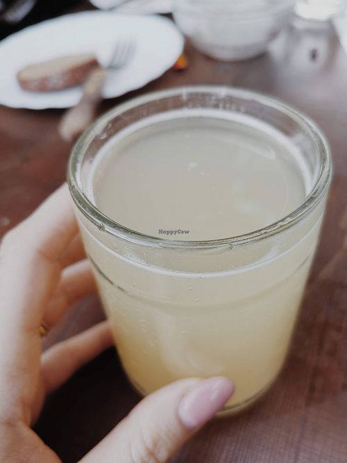 Sturm (Young, unfiltered Austrian wine) at Weinbau Herrmann in Vienna