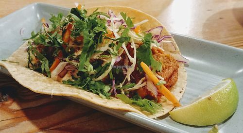 Jack fruit taco at Bay City Burrito in Hawthorn