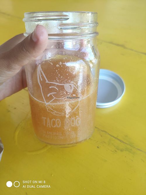  at Taco Dog in Oaxaca