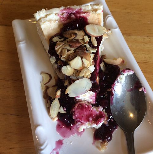 cheese cake at Vegan Kitchen in Naples