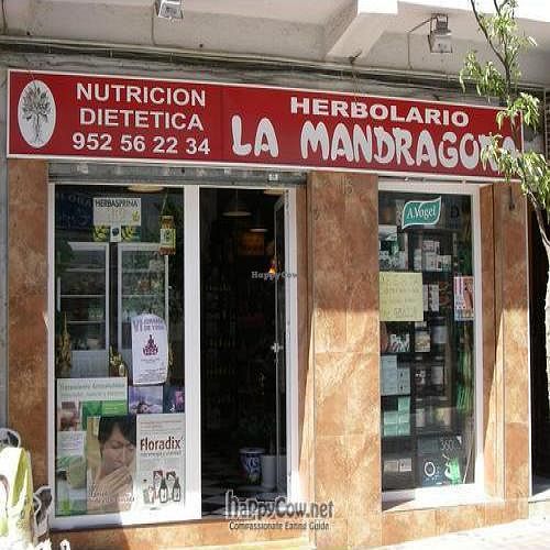  at La Mandragora in Arroyo De La Miel