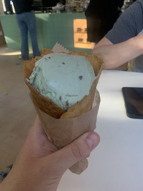 Vegan mint chip ice cream in waffle cone  at Gati  in Austin