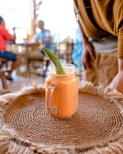 Vivo at Vivo in Tulum