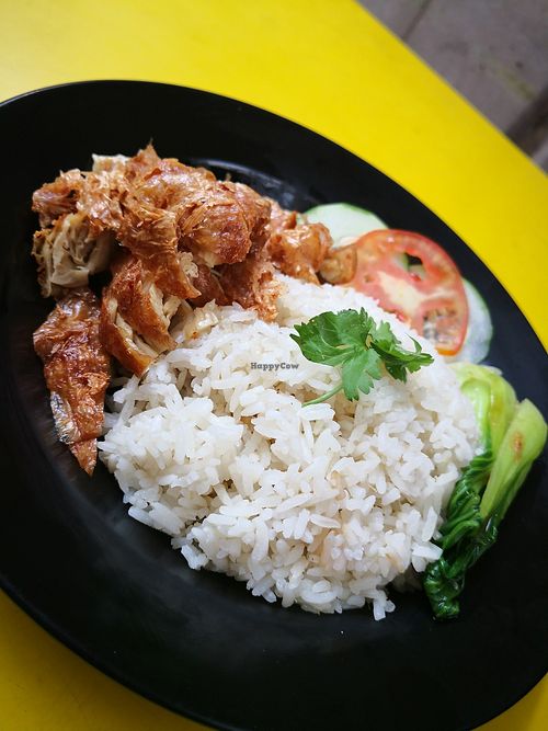 Chicken rice. Photo by Universal Vegetarian at Universal Vegetarian 源之素 in West Singapore