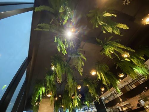 Ceiling  at Leaf Corner 慈素 - Tai Seng in Central Singapore