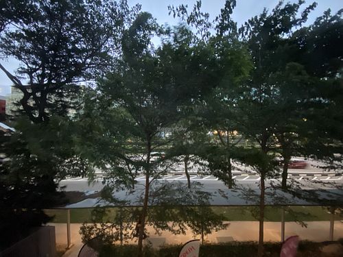 Window view at Leaf Corner 慈素 - Tai Seng in Central Singapore