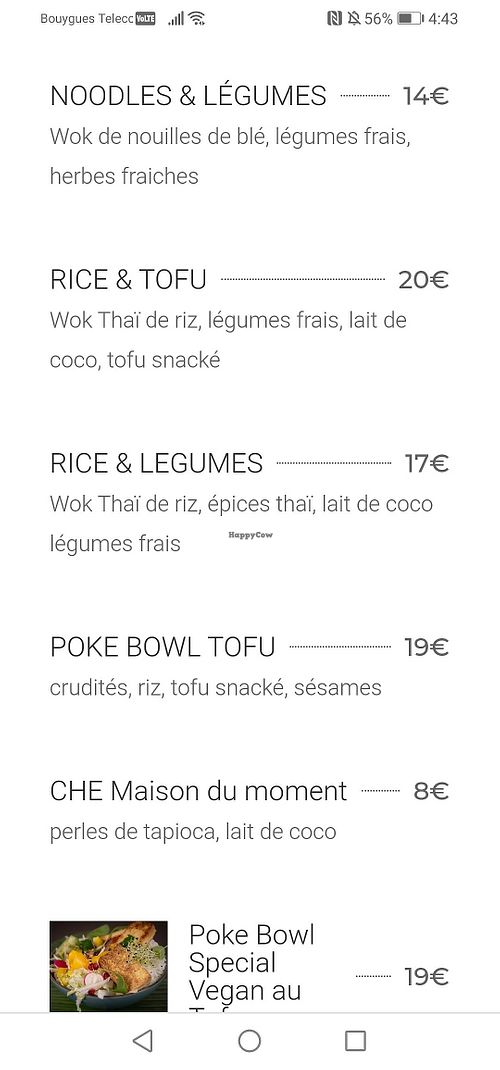 Vegan menu part 2 at Cook-ki in Nancy