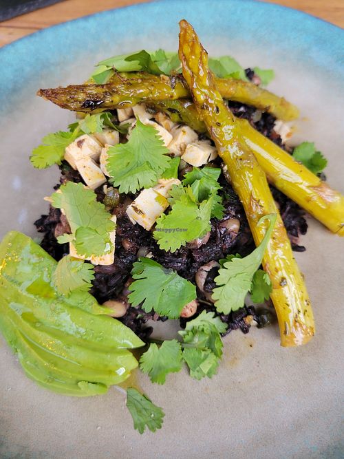 Pinto Invertido at SER Restaurante in Nosara