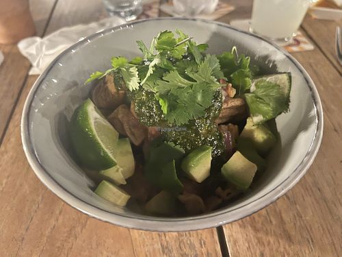   at SER Restaurante in Nosara