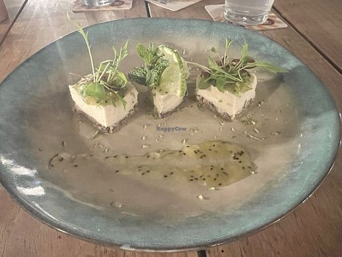   at SER Restaurante in Nosara