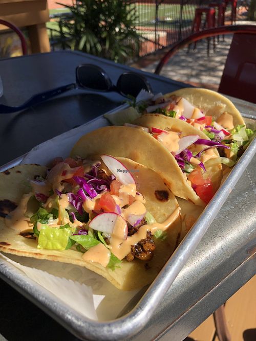 Muñecas Downtown Taco Garden Gainesville Florida Restaurant HappyCow