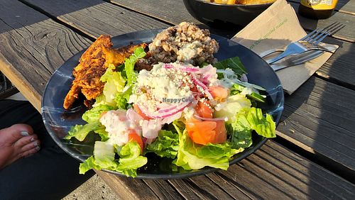 meditteranean plate. spicy "chikin". good. at Make It Vegan in Lakewood