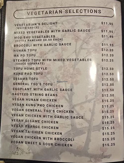 VEGAtariaN options at Chopstick House in Canton