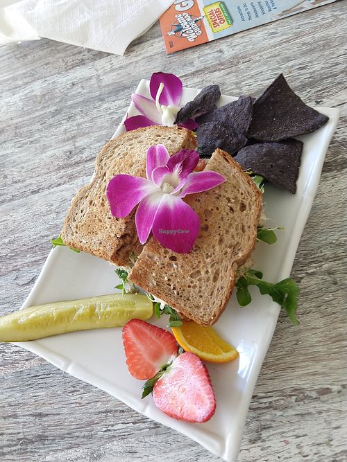 Un-tuna sandwich at The Sanibel Sprout in Sanibel