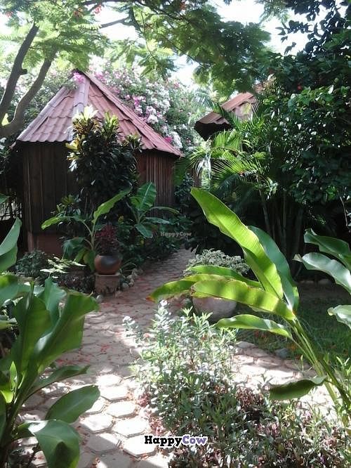 osa.mariposas beautiful bungalows and glorious garden!!! at Osa Mariposa in Puerto Escondido