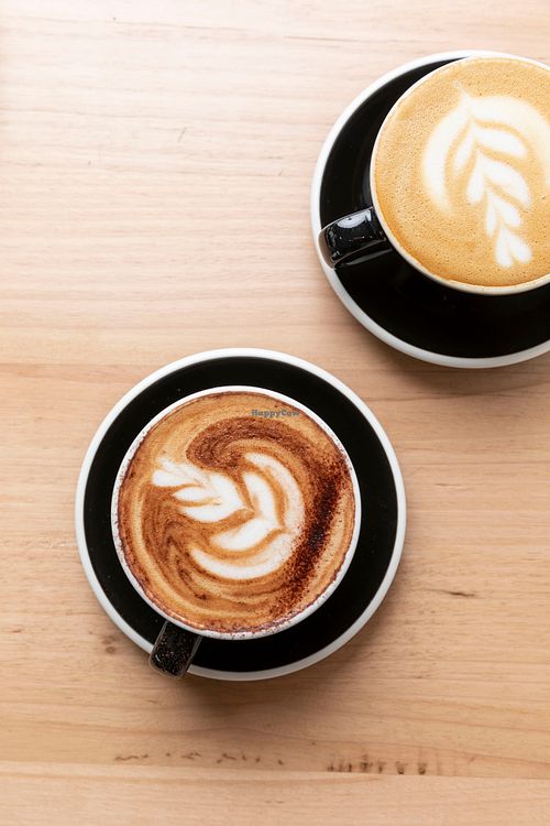 Specialty roast Industry Beans coffee at The Glen Melbourne in Elsternwick