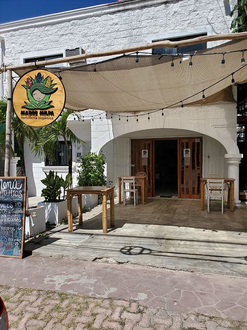 Outside view at Madre Milpa in Playa Del Carmen