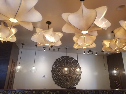 Fancy at House of Thai in Cookeville