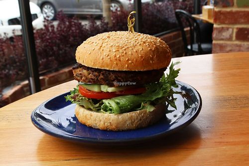 vegan burger at The Pickled Duck in Modbury