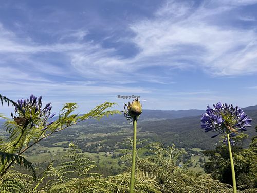 View   at Pitstop Cafe in Ocean View