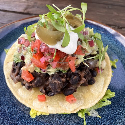 Entree  at Harp & Crown in Corsham