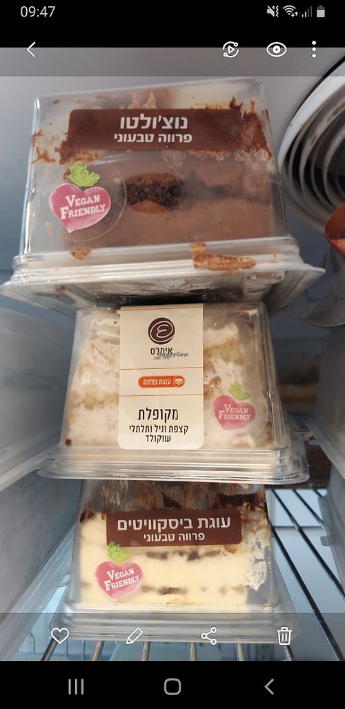 Vegan cakes in the freezer at Lechem Tushia - לחם תושיה - Horev in Haifa