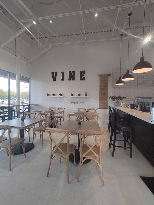  at Vine Cafe in New Bern