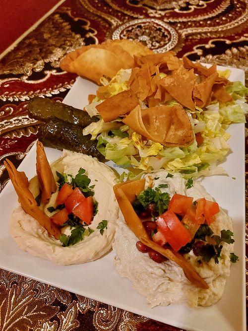  at Shahba Rose in Chemnitz