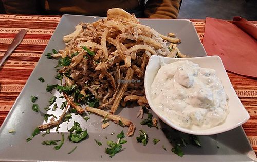  at Shahba Rose in Chemnitz