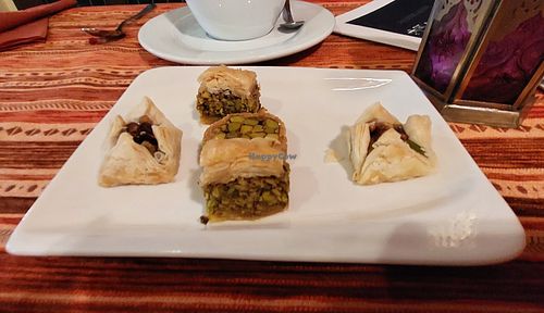  at Shahba Rose in Chemnitz