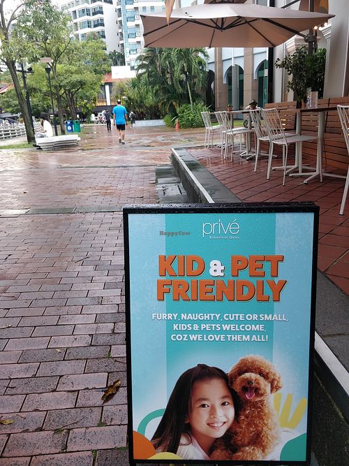 Kids and pets are welcome. Brownie too! at Privé - Robertson Quay in Central Singapore