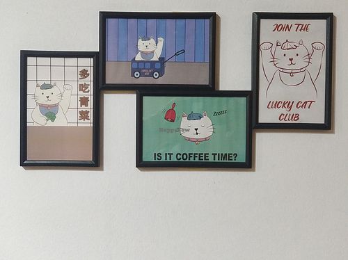 interior decor at Lucky Cat Cafe in Northeast Singapore