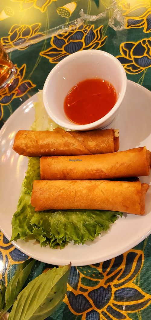 Vegan Eggrolls at Hello Vietnam Pho & Roll in Peoria